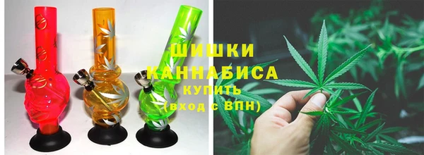 ГАЛЛЮЦИНОГЕННЫЕ ГРИБЫ Абаза