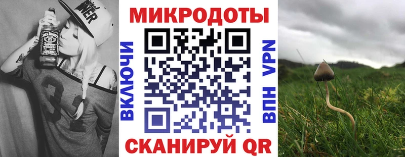 цены наркотик  Питкяранта  Галлюциногенные грибы Psilocybe 